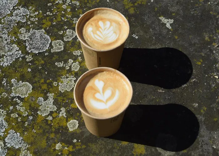 Conti דורדרכט