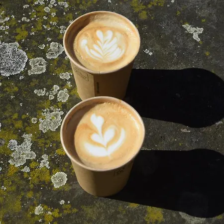 Conti 도르드레흐트